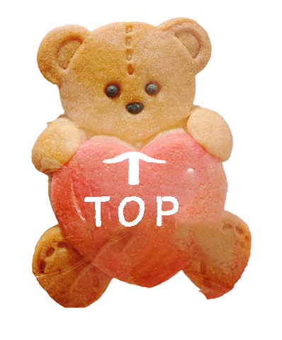 トップへ戻るボタン